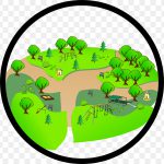 Black Folx in Green Spaces